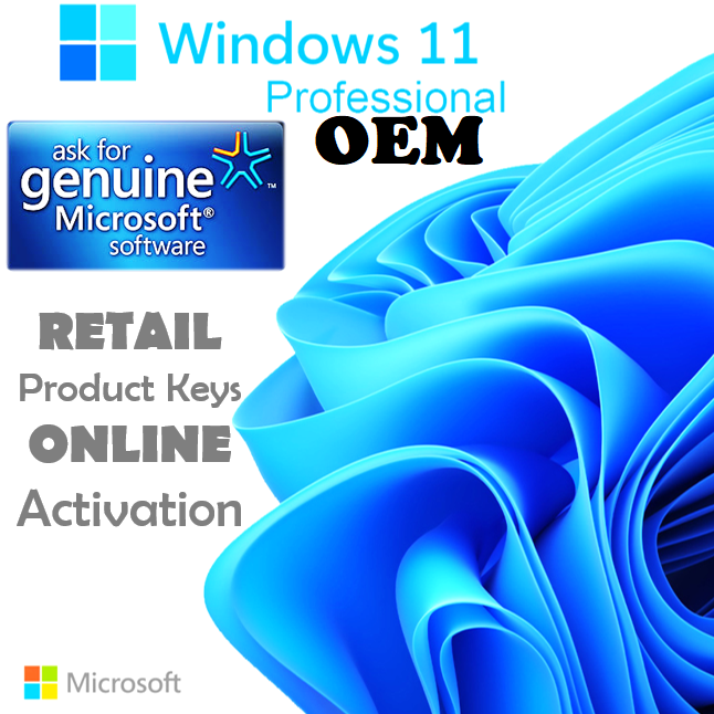 Microsoft Windows 11 Professional  OEM Genuine Key